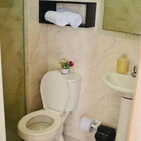 Brand New In North Area Apartment